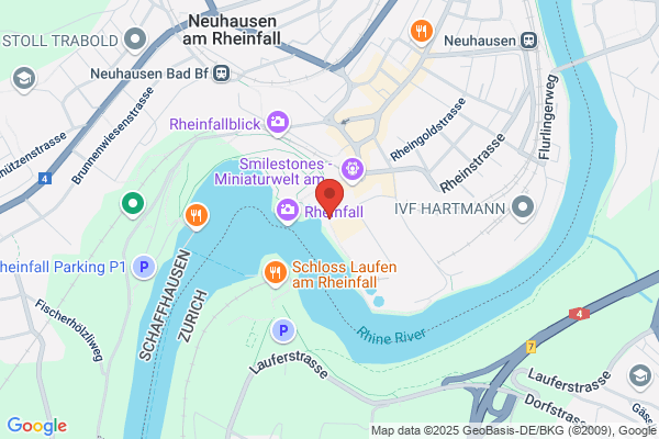 Rheinfalltours