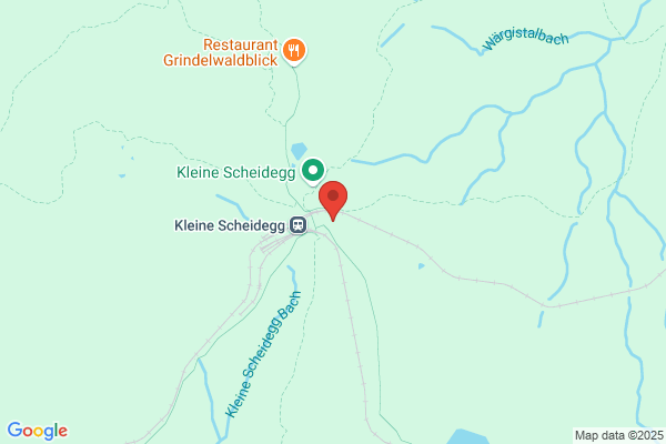 Scheidegg-Hotels AG