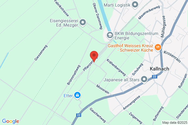 Alfred Dick