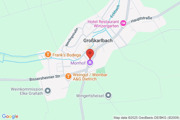 Basler Versicherungen