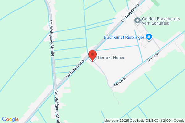 Dres med.vet. E. u. H. Huber