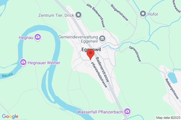 TOM's GUZZERIA