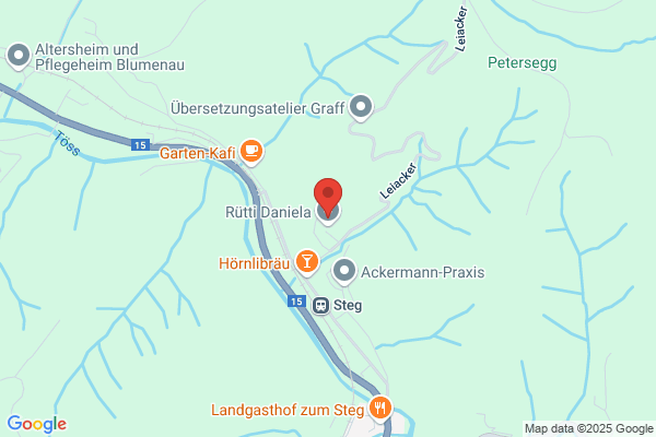 Stieger Elektronik
