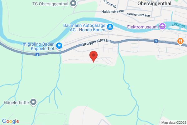 Glanzmann Baumetier GmbH