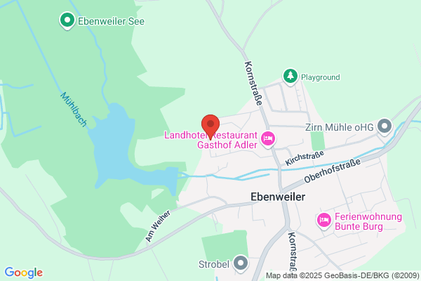 Magelsdorf Software GmbH