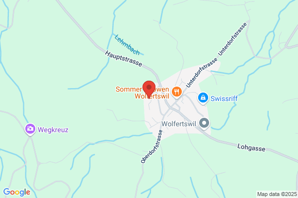 Zentrum f. Informatik u. wirtschaftliche Medizin