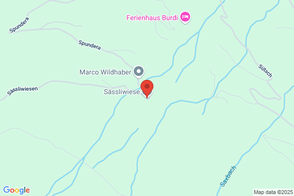Restaurant Saessliwiese