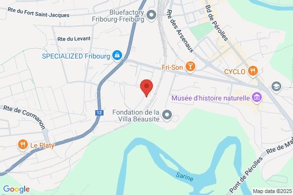 Chemins de fer fribourgeois GFM