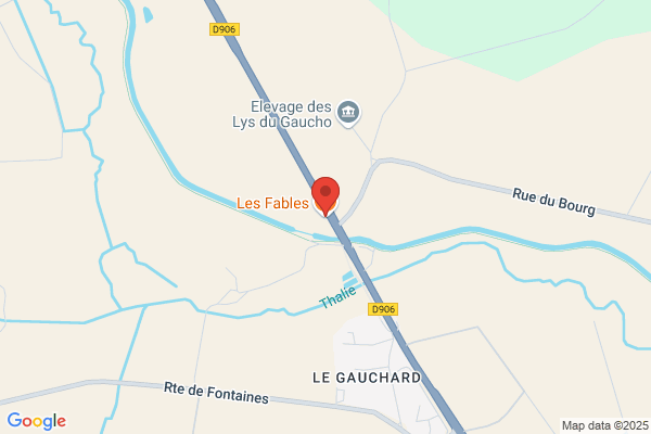 Aux fables de la fontaine