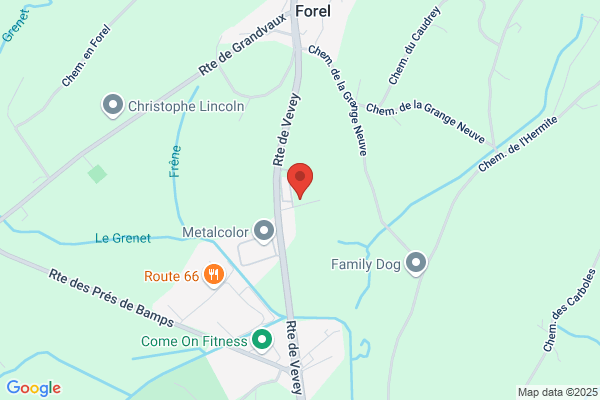 Service du feu