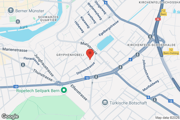 Nydegger Consulting