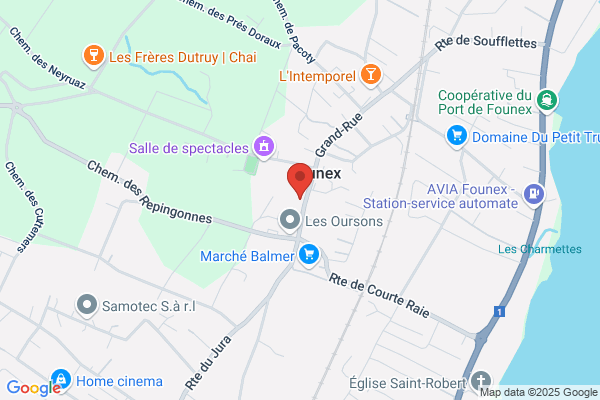 Gourmet Party Service GPS