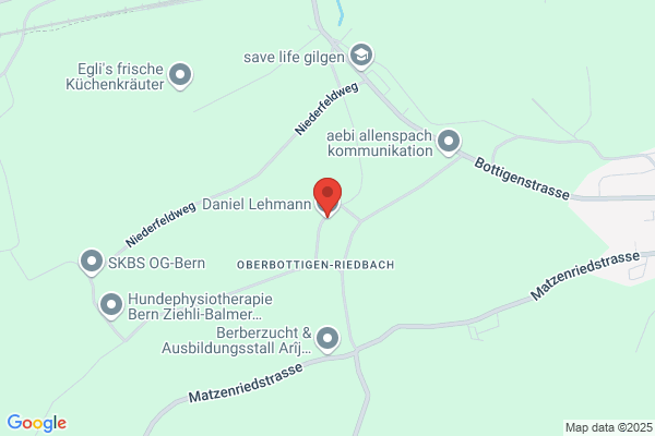 Lehmann Bauberatung
