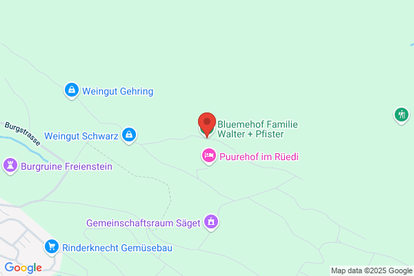 Gaertnerei R. Pfister Freienstein