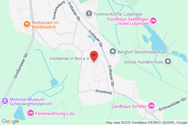 Tierhilfe Villa Kunterbunt