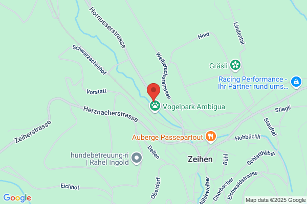 Lehmann Planungs AG