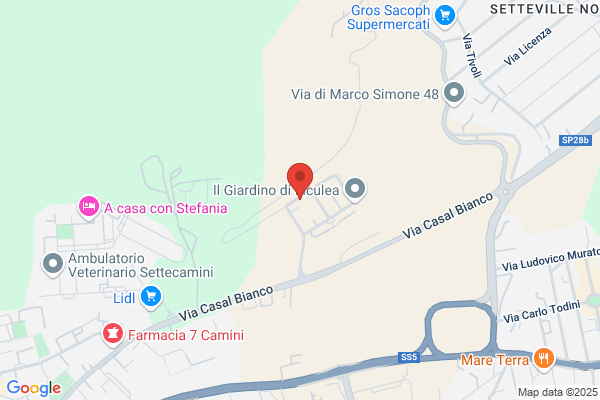 Mastro muratore