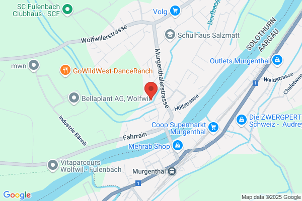 Hanspeter Wyss Technisches Buero