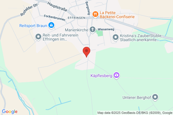 Baumpfleger Philipp Utiger