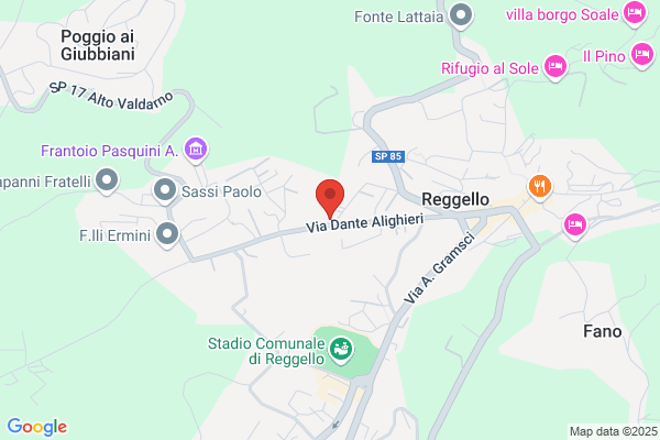 Trattoria Pizzeria M. Borraccino