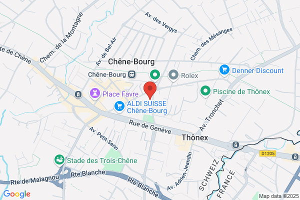 LES MENUS SERVICES GENEVE