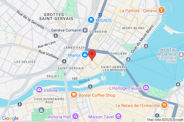 OKAIDI GENEVE CV