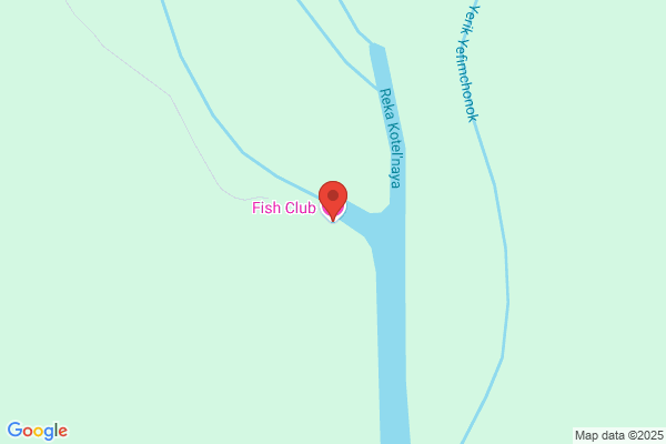 The Fish Club