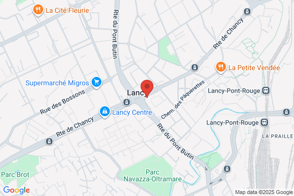 ibis Geneve Petit Lancy