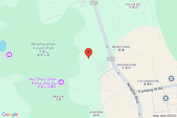 Nanjing Merchants International Tourism Ltd