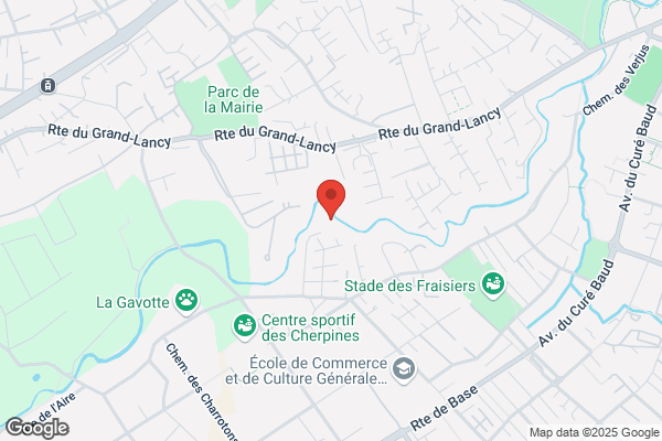 SERVICES A 5 PATTES SA