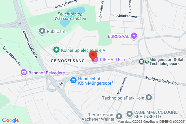 Boesinger-Brinks-Papiere
