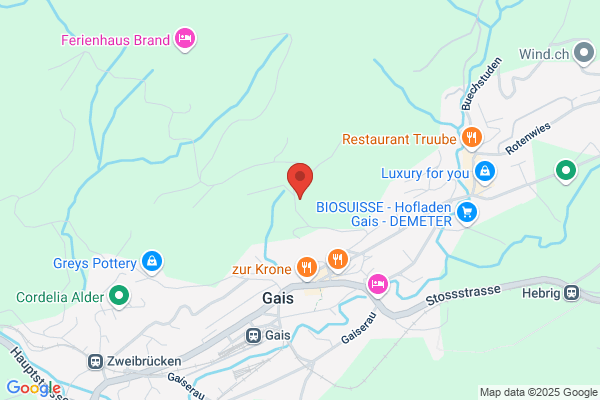 Hoehener Wald AG