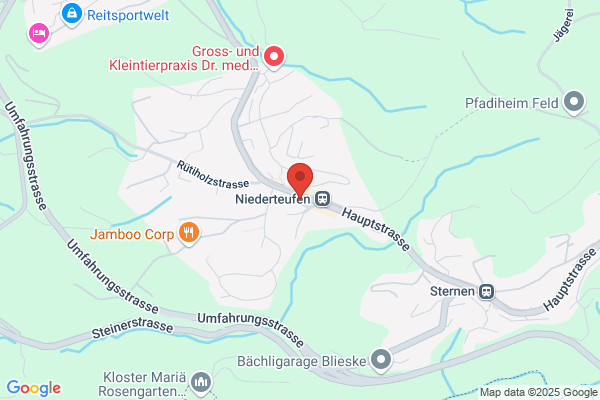 Prodomo GmbH