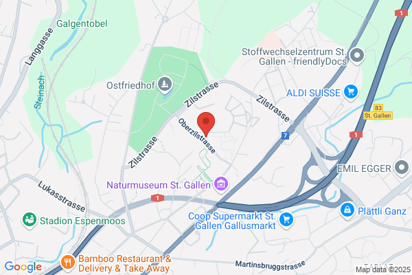 Hermann Braendle