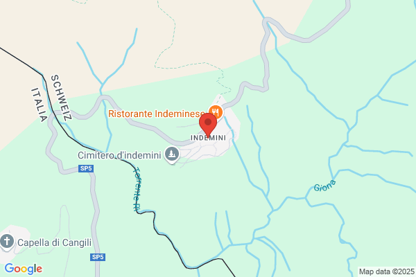 Dogana Svizzera