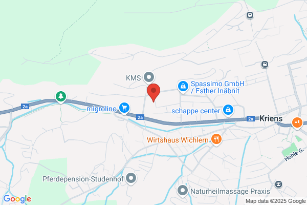 Schnyder Kundenmonteur