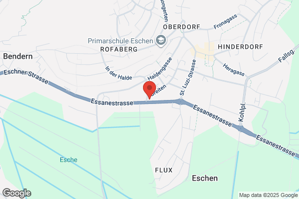 Hasler's Denner Satellit AG