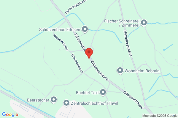 Toni Haessig GmbH