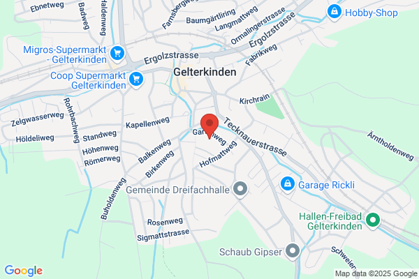 Dr.med. Max Handschin