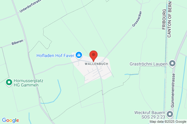 B. Hofmann Gartenbau