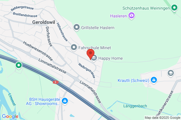 Geneous Software AG