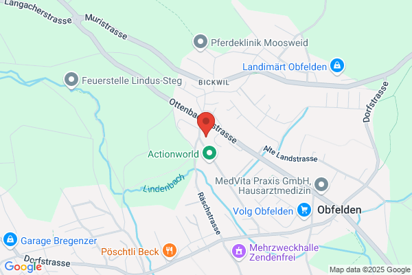 Schiller-Reomed AG