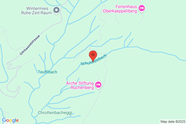 Schuepbach-Druck AG