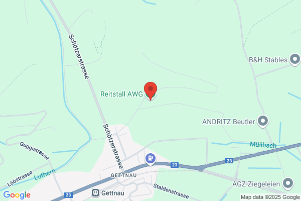 Secondhand und Reitsport