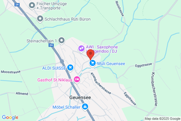 Miazzo Immobilien Miacons Handel und Beratung AG