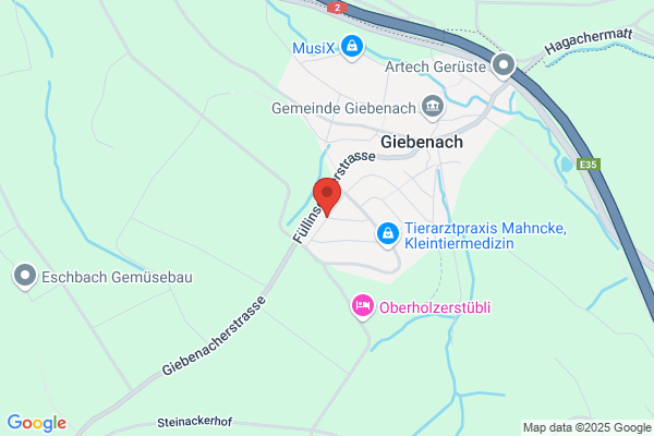 Temo-Vetrieb Th. Moehr