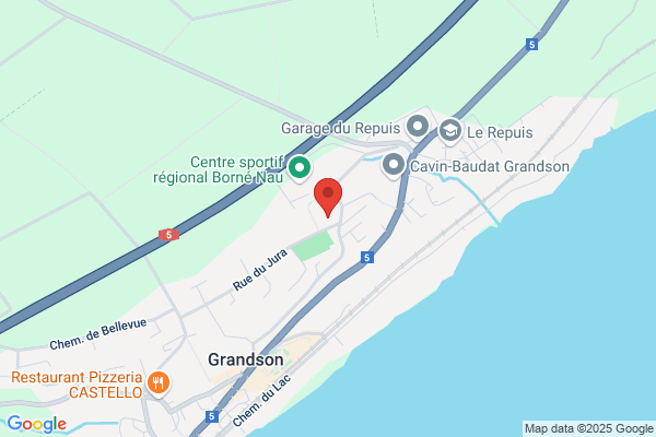 Téléréseau de Grandson SA