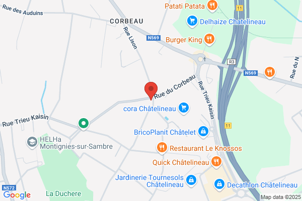 La Coquetterie du Chien