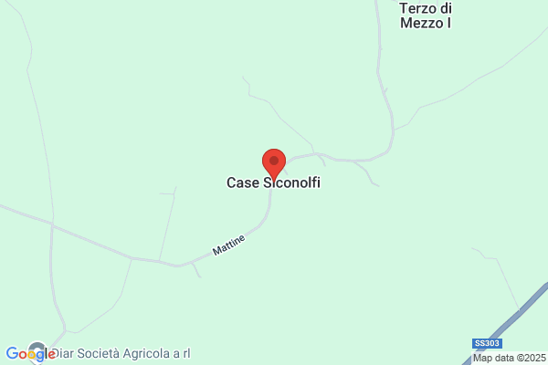 Vito Siconolfi