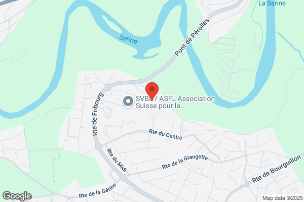 MegaServices & Rénovations Sàrl